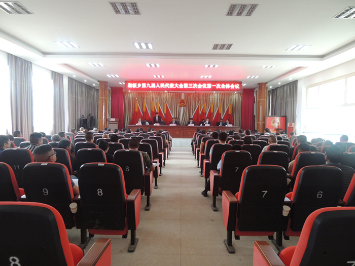 20180706 勐板乡九届三次人代会第一次全体会议（李正楠摄） (1)_副本.jpg